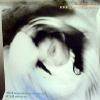 LAULA BRANIGAN / SHATTERED GLASS (US)ATLANTIC
