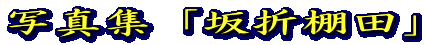 ʐ^WuܒIcv